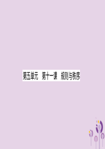 2019中考道德与法治复习 七下 第11课 规则与秩序课件 教科版