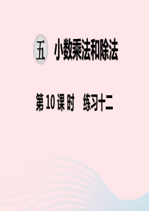 2019秋五年级数学上册 第五单元 小数的乘法和除法 第10课时 练习十二教学课件 苏教版