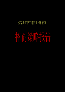 张家港王府广场商业步行街项目招商策略报告