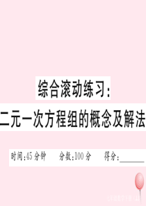 2019秋七年级数学下册 综合滚动练习：二元一次方程组的概念及解法习题课件（新版）冀教版