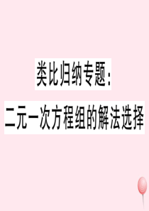 2019秋七年级数学下册 类比归纳问题 二元一次方程组的解法选择习题课件（新版）华东师大版