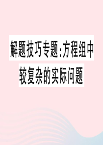 2019秋七年级数学下册 解题技巧专题 方程组中较复杂的实际问题习题课件（新版）华东师大版