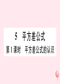 2019秋七年级数学下册 第一章 整式的乘除 5 平方差公式第1课时 平方差公式的认识习题课件（新版