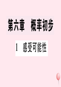 2019秋七年级数学下册 第六章 频率初步 1 感受可能性习题课件（新版）北师大版