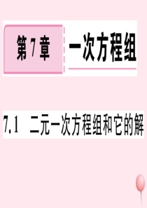 2019秋七年级数学下册 第7章 一次方程组7.1 二元一次方程组和它的解习题课件（新版）华东师大版