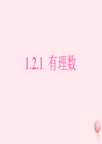 2019秋七年级数学上册 第一章 有理数1.2 有理数1.2.1 有理数教学课件2（新版）新人教版