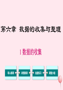 2019秋七年级数学上册 第六章 数据的收集与整理 6.1 数据的收集教学课件（新版）北师大版