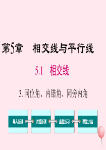 2019秋七年级数学上册 第5章 相交线与平行线 5.1 相交线 3 同位角、内错角、同旁内角教学课