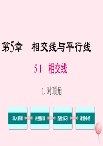 2019秋七年级数学上册 第5章 相交线与平行线 5.1 相交线 1 对顶角教学课件（新版）华东师大