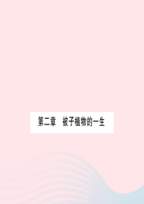 2019秋七年级生物上册 期末复习 第三单元 第二章 被子植物的一生习题课件 （新版）新人教版