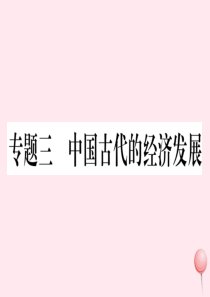 2019秋七年级历史上册 热点专项突破篇三 中国古代的经济发展习题课件 新人教版