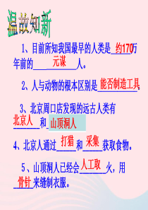 2019秋七年级历史上册 第一单元 史前时期：中国境内人类的活动第2课 原始农耕生活课件 新人教版