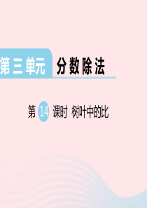 2019秋六年级数学上册 第三单元 分数除法 第14课时 树叶中的比教学课件 苏教版