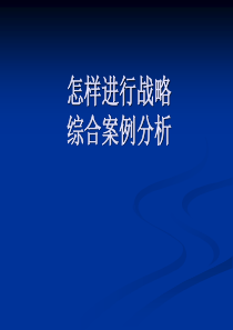 怎样进行战略案例分析