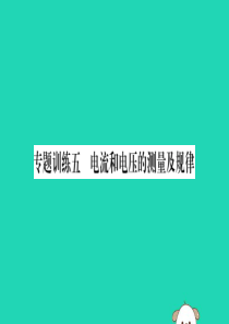 2019秋九年级物理全册 第十六章 电压 电阻 专题训练五 电流和电压的测量及规律课件 （新版）新人