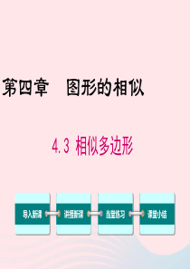 2019秋九年级数学上册 第四章 图形的相似 3 相似多边形教学课件（新版）新人教版