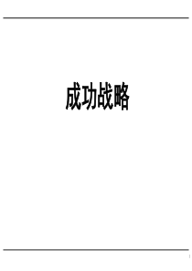 成功战略（PPT 130页）