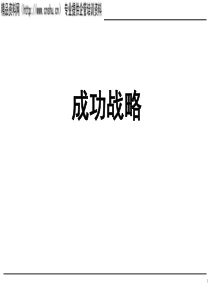 成功战略（PPT130页）