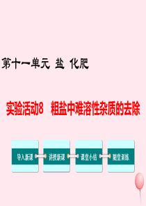 2019秋九年级化学下册 第十一单元 盐 化肥 实验活动8 粗盐中难溶性杂质的去除教学课件（新版）新