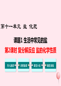 2019秋九年级化学下册 第十一单元 盐 化肥 课题1 生活中常见的盐第2课时 复分解反应  盐的化