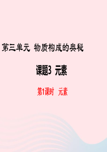 2019秋九年级化学上册 第三单元 物质构成的奥秘 课题3 元素第1课时 元素教学课件（新版）新人教