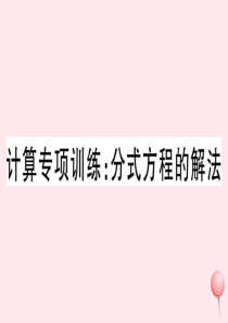 2019秋八年级数学下册 计算专项训练 分式方程的解法习题课件（新版）华东师大版