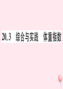 2019秋八年级数学下册 第20章 数据的初步分析20.2 数据的集中趋势与离散程度 3综合与实践 