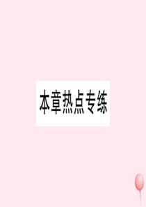 2019秋八年级数学下册 第19章 矩形、菱形与正方形本章热点专练习题课件（新版）华东师大版