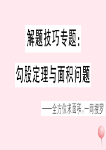 2019秋八年级数学上册 解题技巧专题 勾股定理与面积问题习题课件（新版）华东师大版