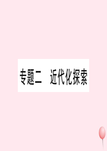 2019秋八年级历史上册 热点专题突破二 近代化探索习题课件 新人教版