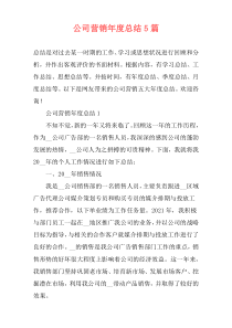 公司营销年度总结5篇