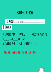 2019年中考语文总复习 第一部分 教材基础自测 九上 古诗文 水调歌头（明月几时有）课件 新人教版