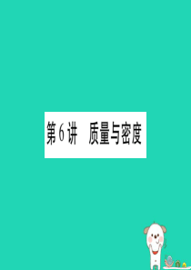 2019年中考物理 第06讲 质量与密度教材课后作业课件