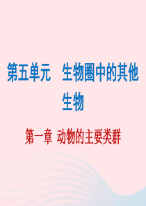 2019年中考生物总复习 第五单元 第一章 动物的主要类群课件