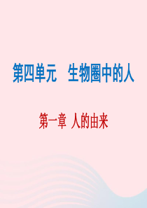 2019年中考生物总复习 第四单元 第一章 人的由来课件