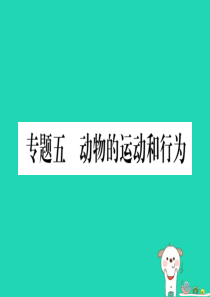 2019年中考生物 专题综合突破5 动物的运动与行为复习课件 冀教版