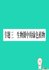 2019年中考生物 专题综合突破3 生物圈中的绿色植物复习课件 冀教版