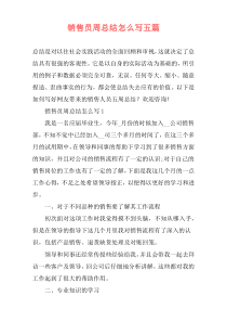 销售员周总结怎么写五篇