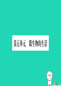 2019年中考生物 第5单元 微生物的生活复习习题课件 冀教版