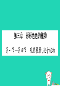 2019年中考生物 第1单元 第3章 形形色色的植物（第1-4节）复习习题课件 冀教版