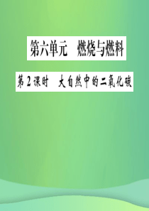 2019年中考化学总复习 教材考点梳理 第六单元 燃烧与燃料 第2课时 大自然中的二氧化碳课件 鲁教