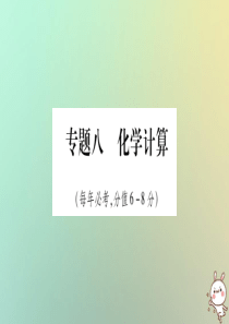 2019年中考化学准点备考复习 第二部分 题型专题突破 专题8 化学计算课件 新人教版