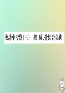 2019年中考化学复习 滚动小专题（三）酸、碱、盐综合集训课件