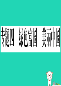 2019年中考道德与法治 第8部分 专题4 绿色付过 美丽中国课件