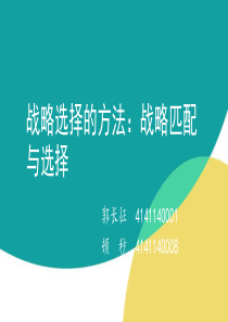 战略匹配与选择