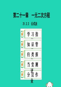 2019年秋九年级数学上册 第二十一章 一元二次方程 21.2 解一元二次方程 21.2.2 公式法