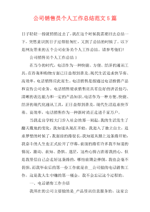 公司销售员个人工作总结范文5篇