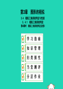 2019年秋九年级数学上册 3.4 相似三角形的判定与性质 3.4.1 第4课时 相似三角形的判定定