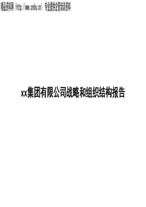 战略与组织结构优化报告