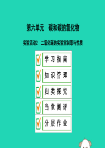 2019年秋九年级化学上册 第六单元 碳和碳的氧化物 实验活动2 二氧化碳的实验室制取与性质课件 （